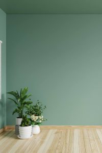 A minimalist room with a green wall, wooden floor, and indoor plants.