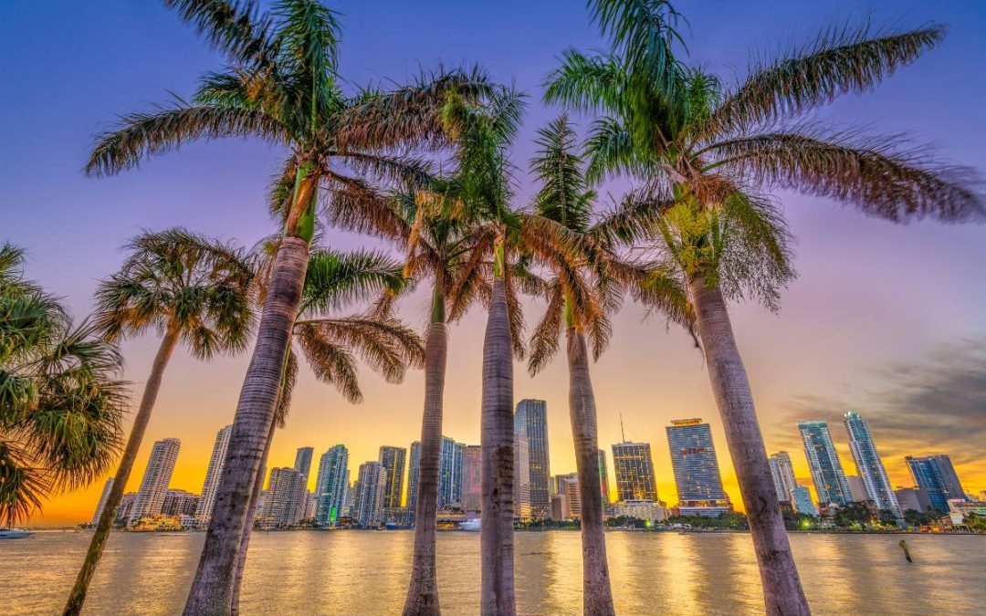 Palm trees framing a vibrant sunset over a skyline by the water.